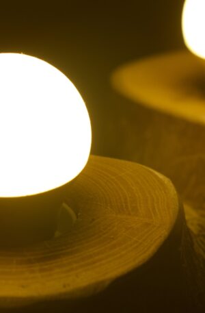 Doublewood Lamp