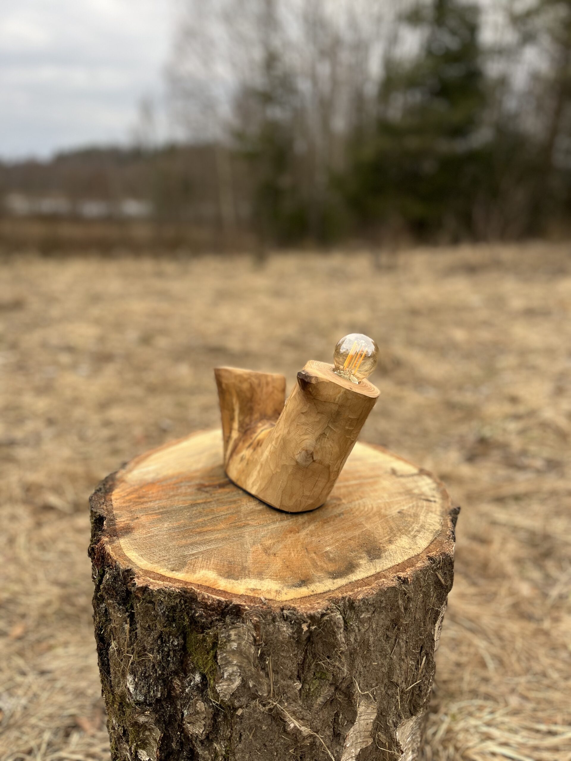 Forest Glow Lamp - Image 5