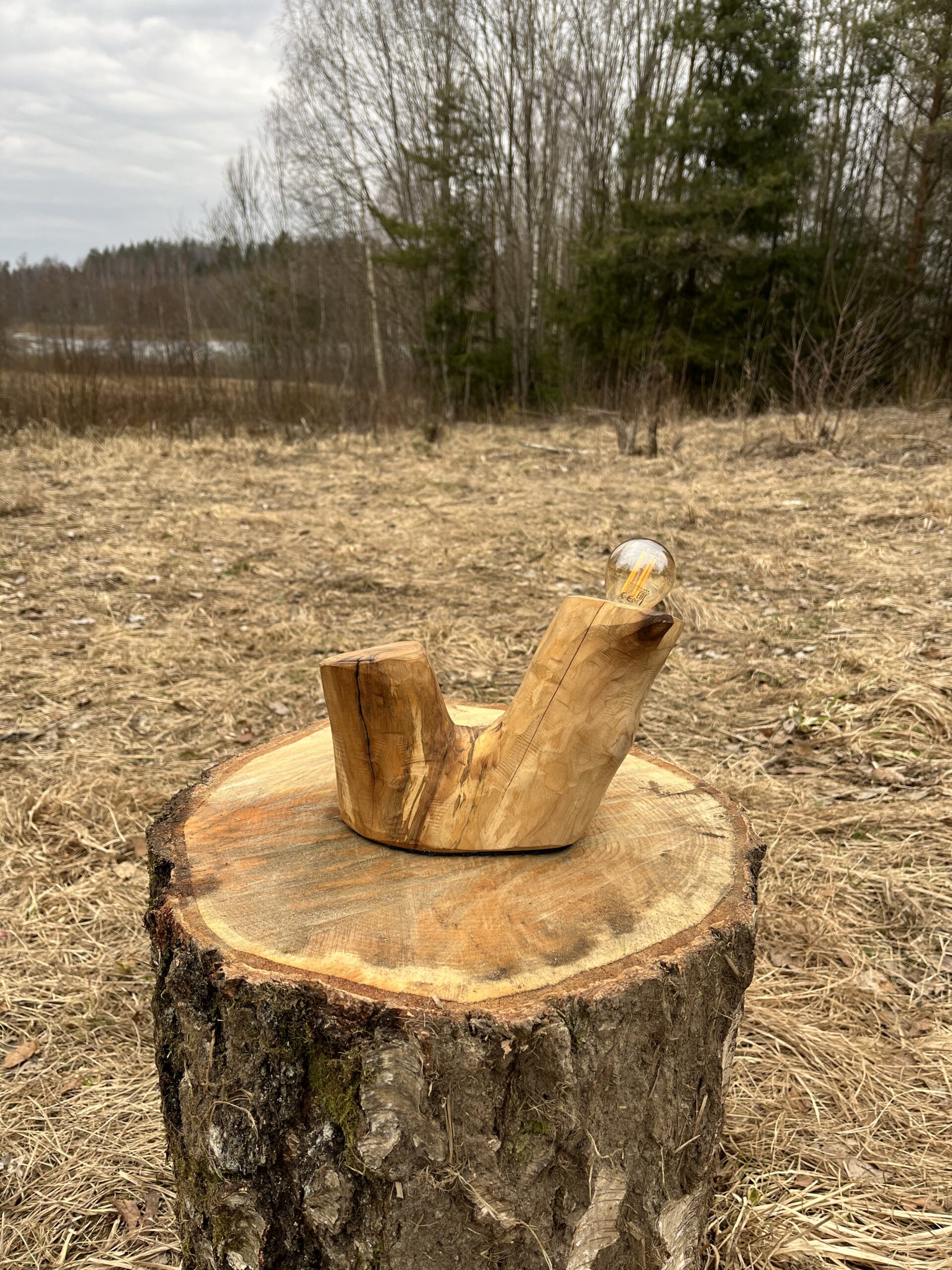 Forest Glow Lamp - Image 2