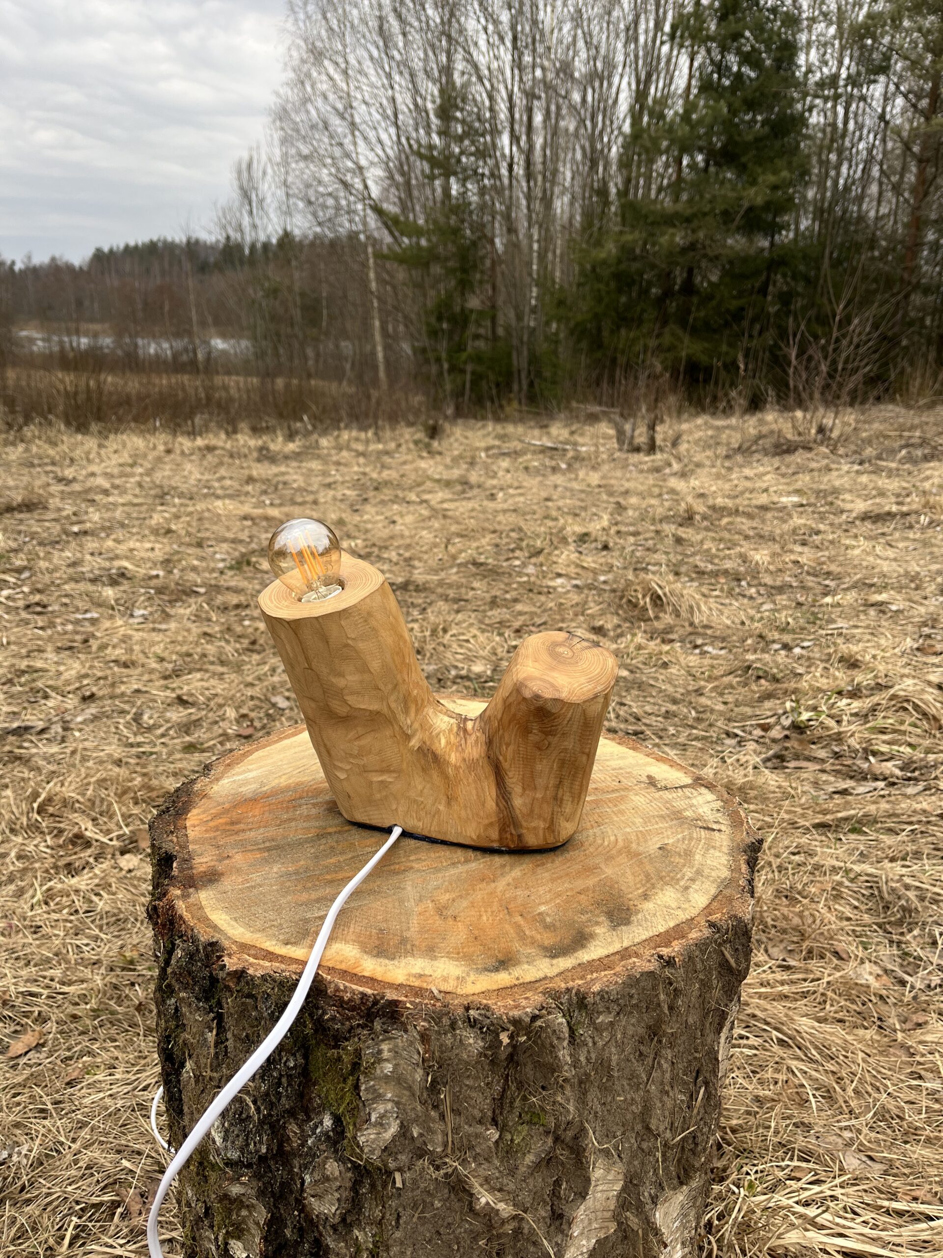 Forest Glow Lamp - Image 4