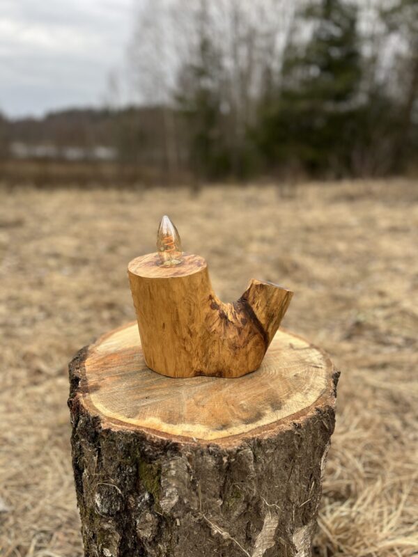 IMG_3715 Majestic Ash Lamp