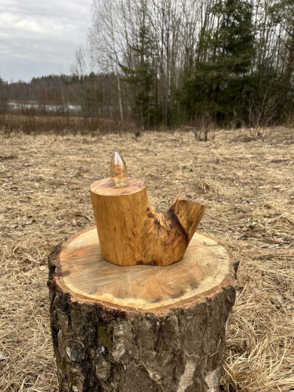 IMG_3716 Majestic Ash Lamp
