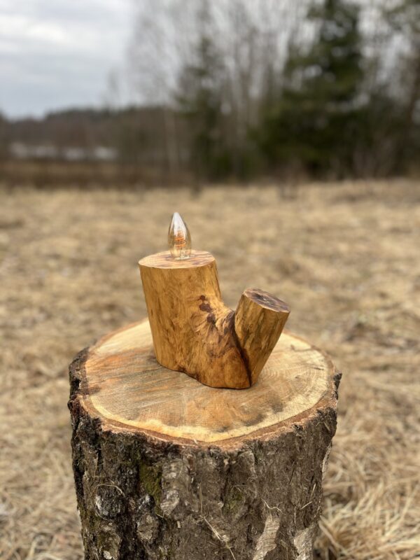 IMG_3718 Majestic Ash Lamp