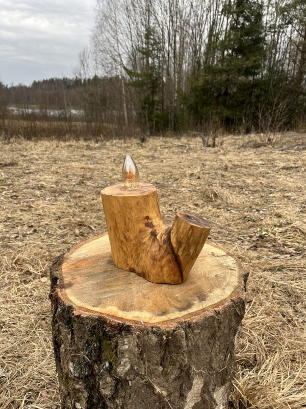 IMG_3719 Majestic Ash Lamp