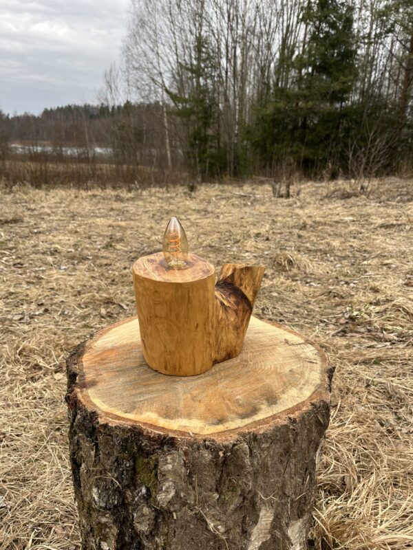 IMG_3720 Majestic Ash Lamp
