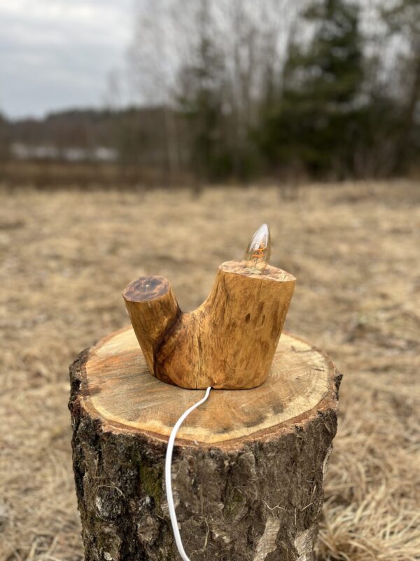 IMG_3724 Majestic Ash Lamp