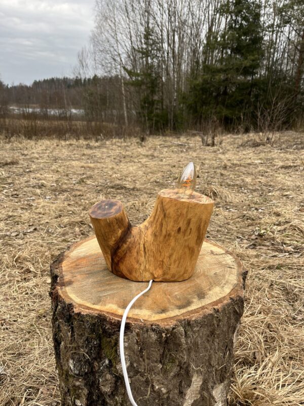 IMG_3725 Majestic Ash Lamp