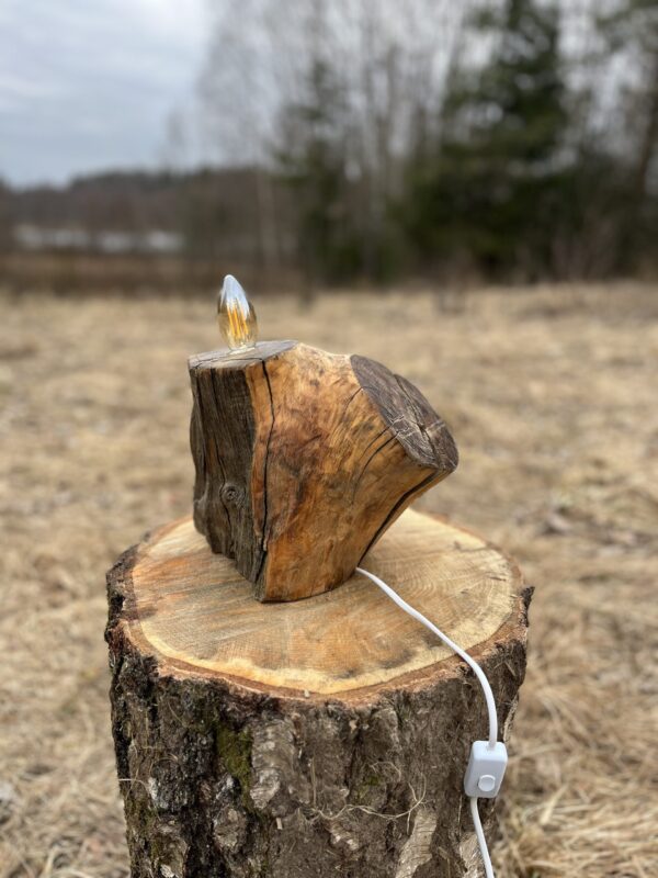 Luminous Apple Lamp